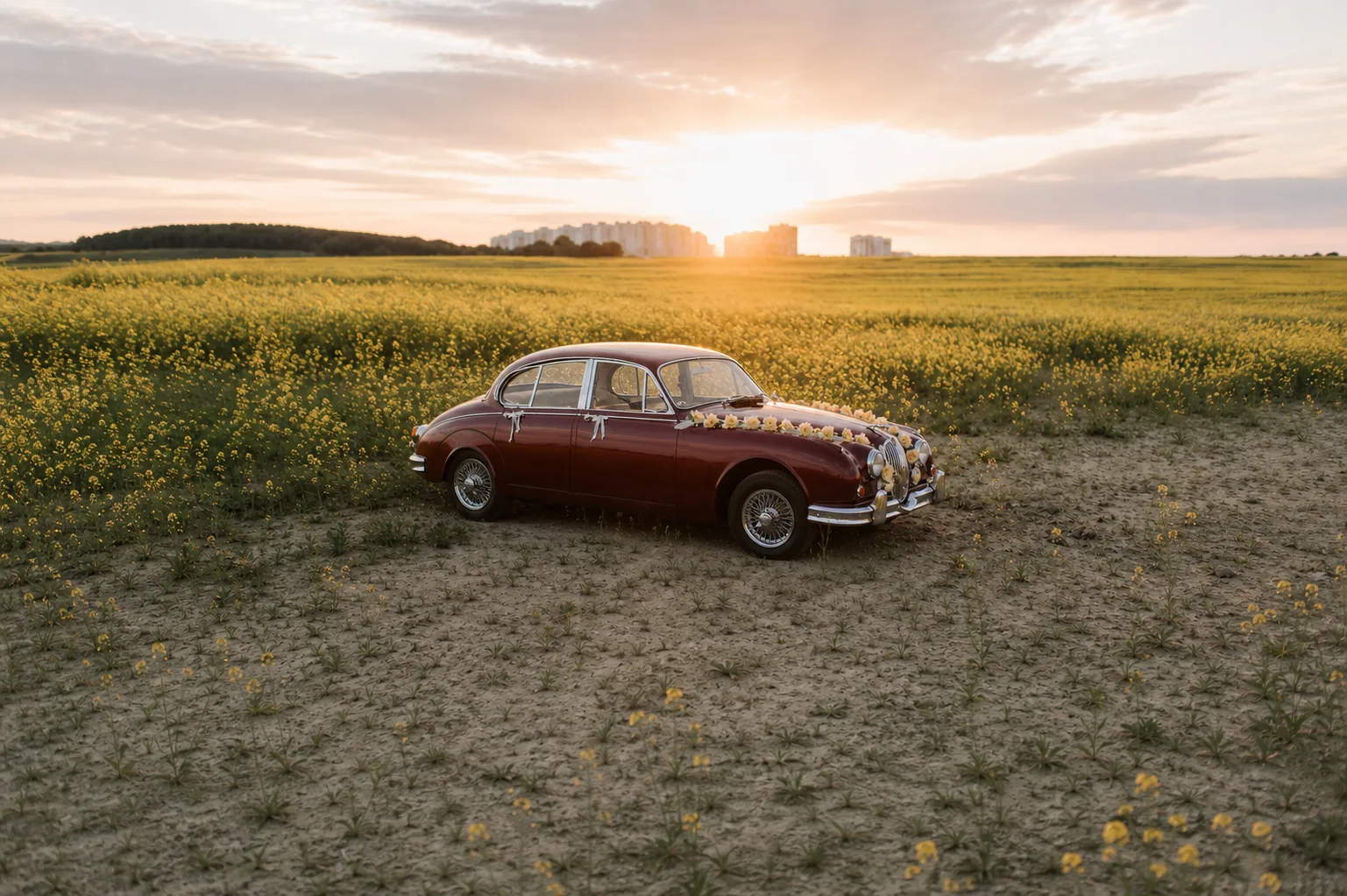 Ein burgunderroter Jaguar MK2 als Hochzeitsauto in einem Feld bei Sonnenuntergang.